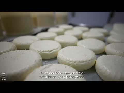 FEAST - Cascina Raflazz Piedmont Cheese