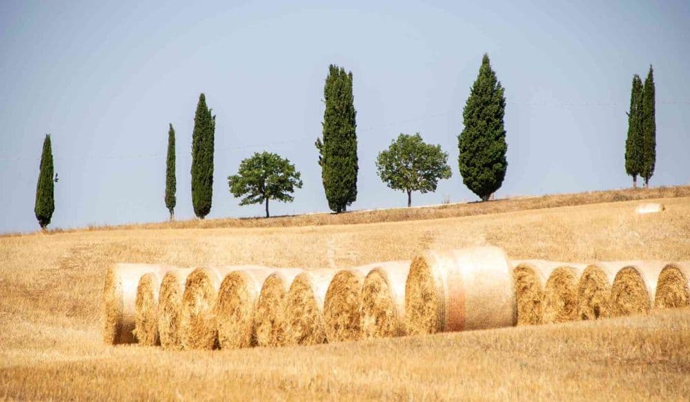 Val dOrcia