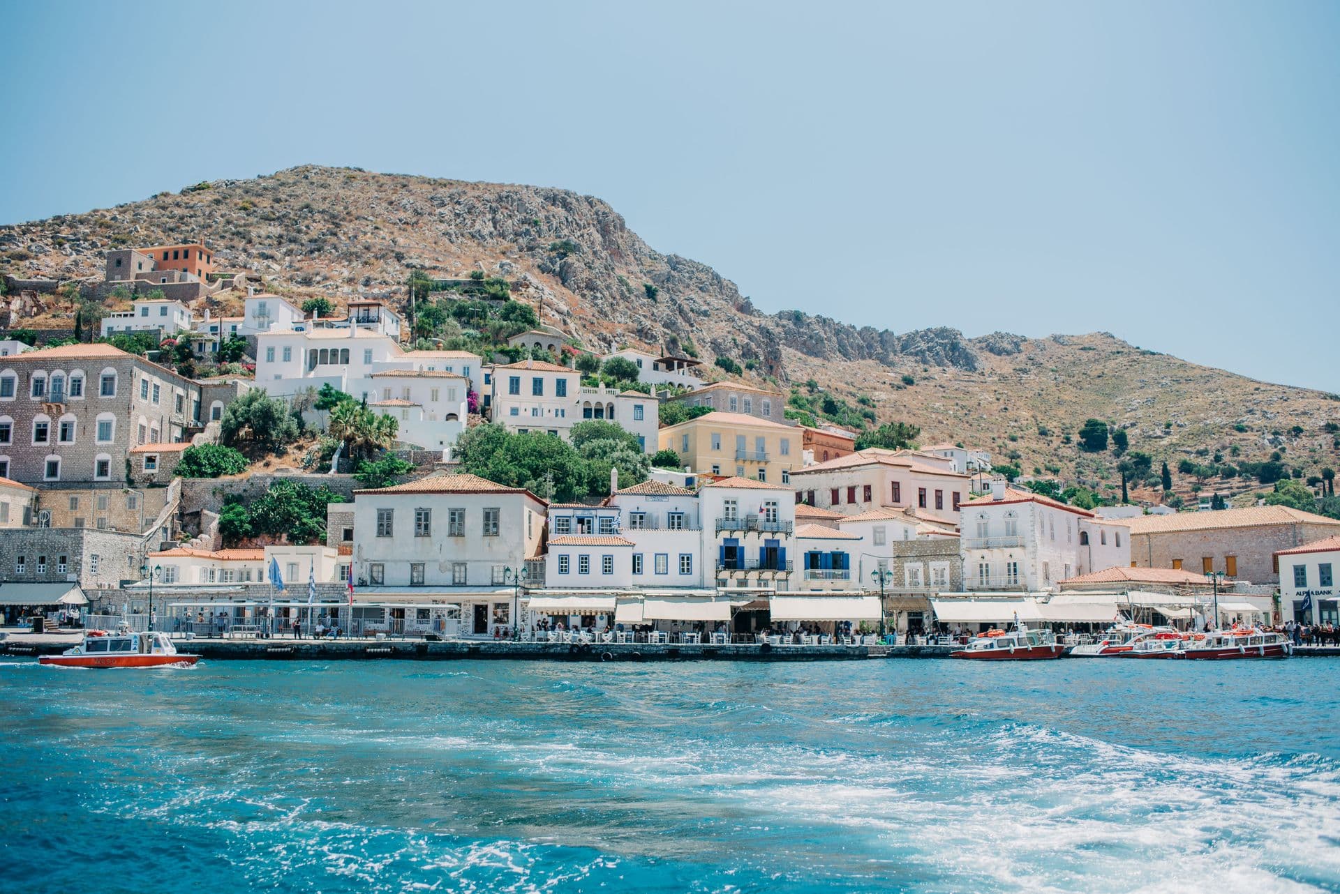 Hydra