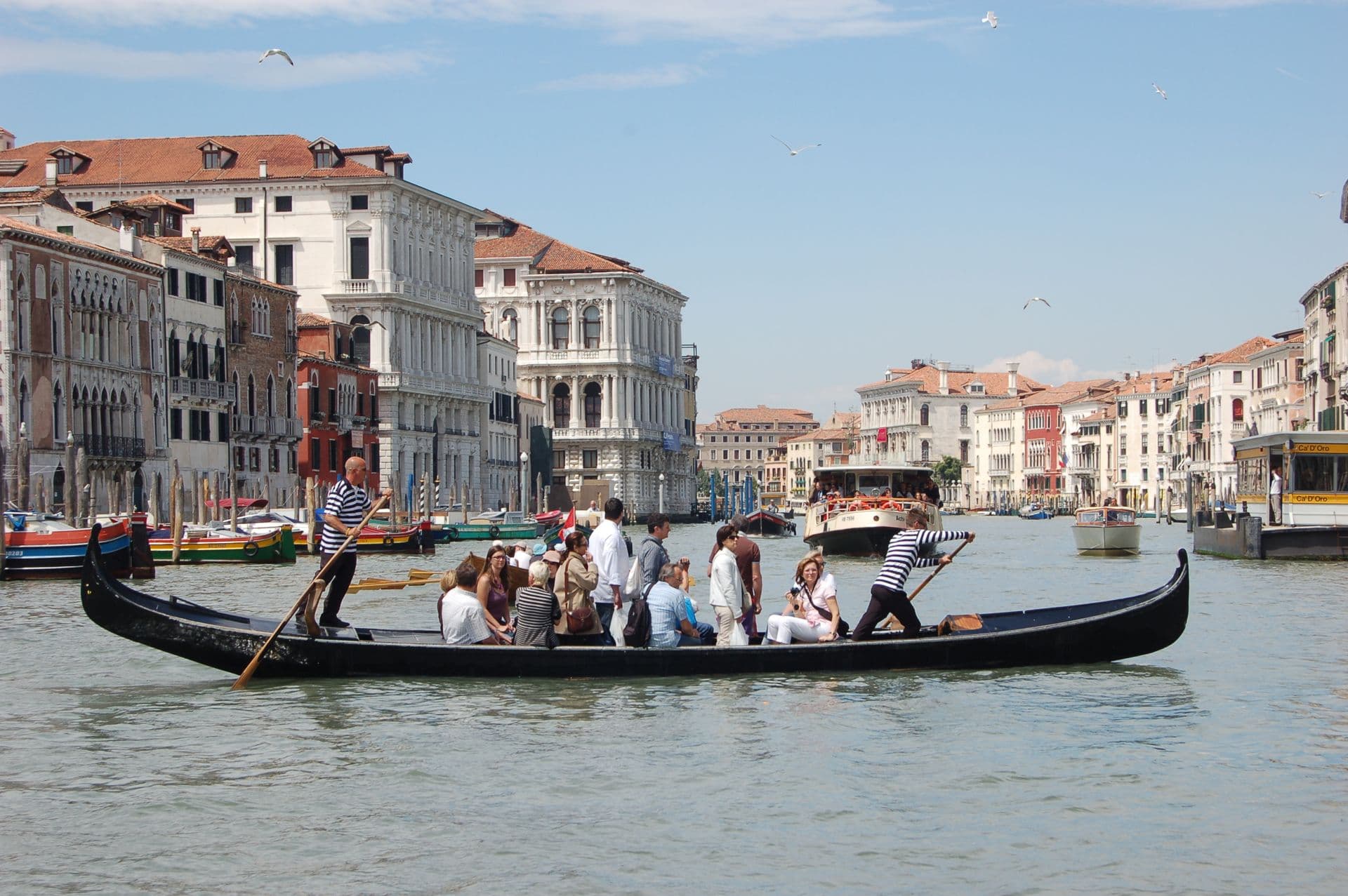 Venetia