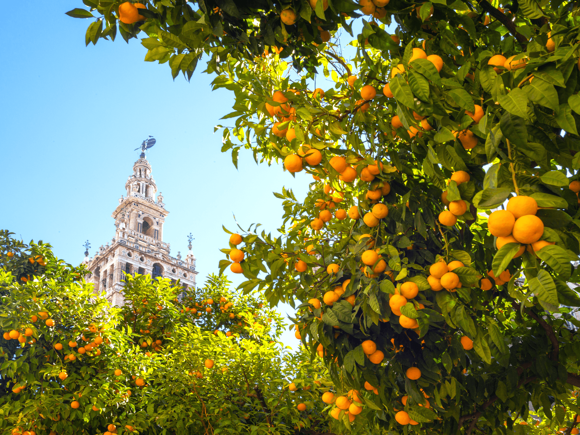 Andalusia Spain