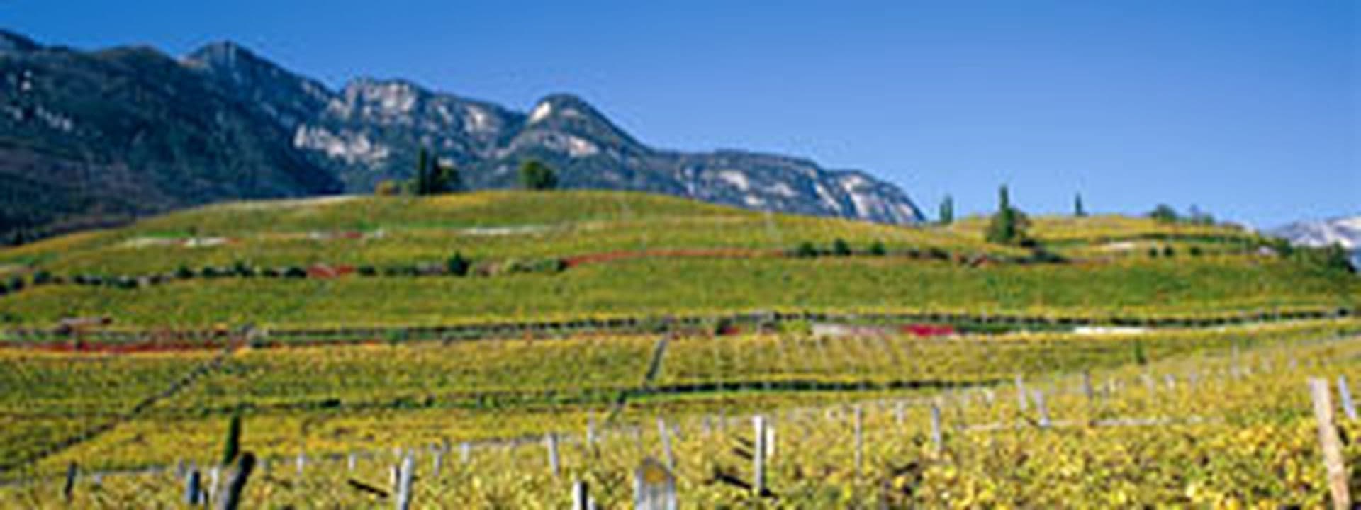 South Tyrol