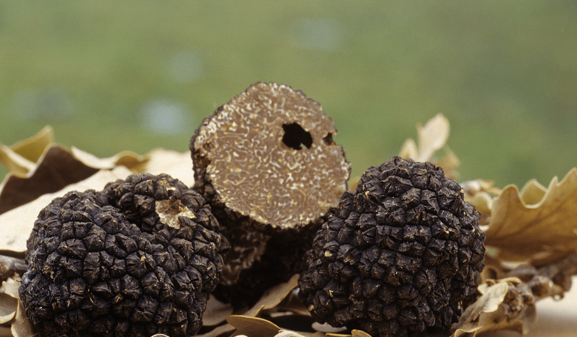 Discover Europe's Top Truffles