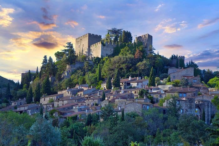 SAPIO Languedoc