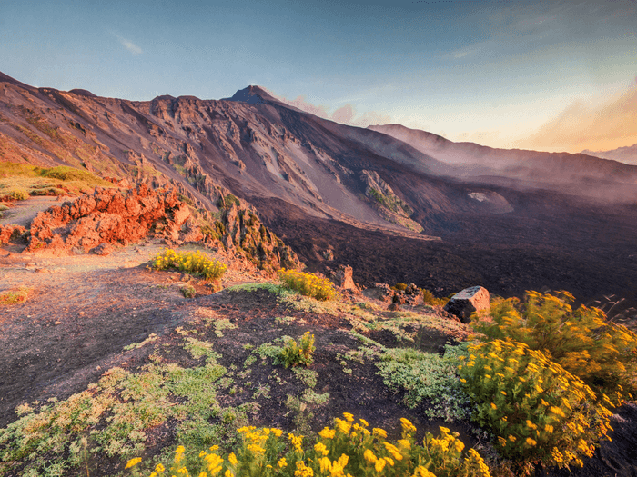Gusto - Etna
