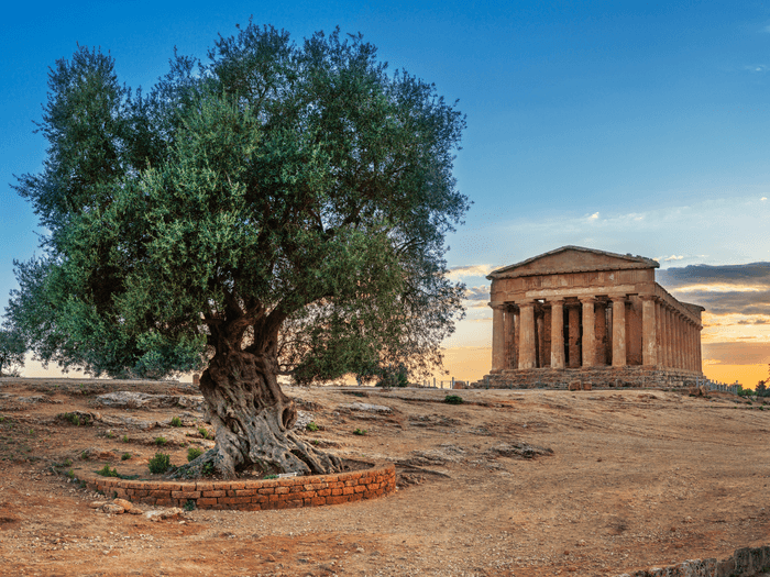 FEAST - xitasi, Agrigento