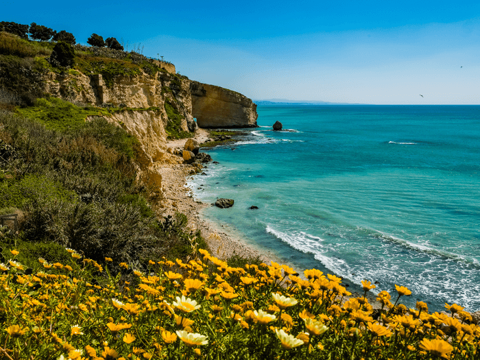 gusto - Sicily, xitasi