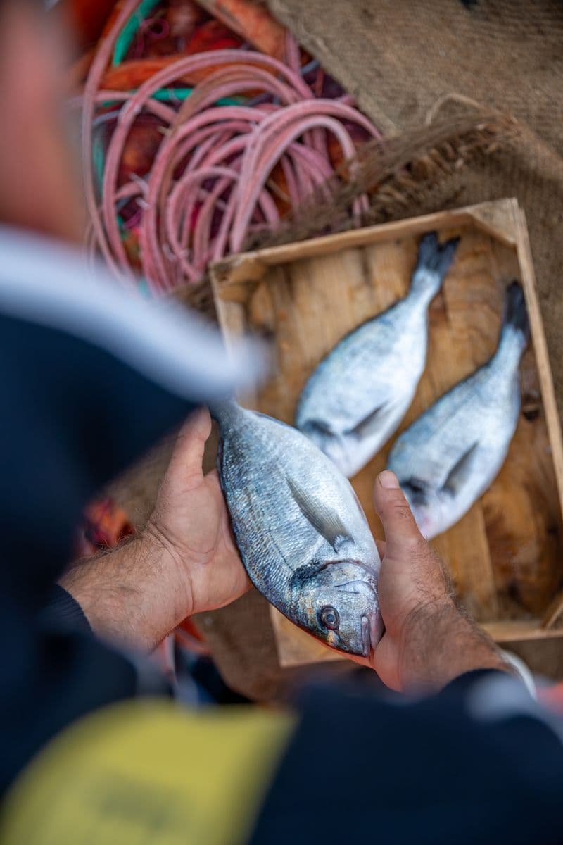 fishermen salina